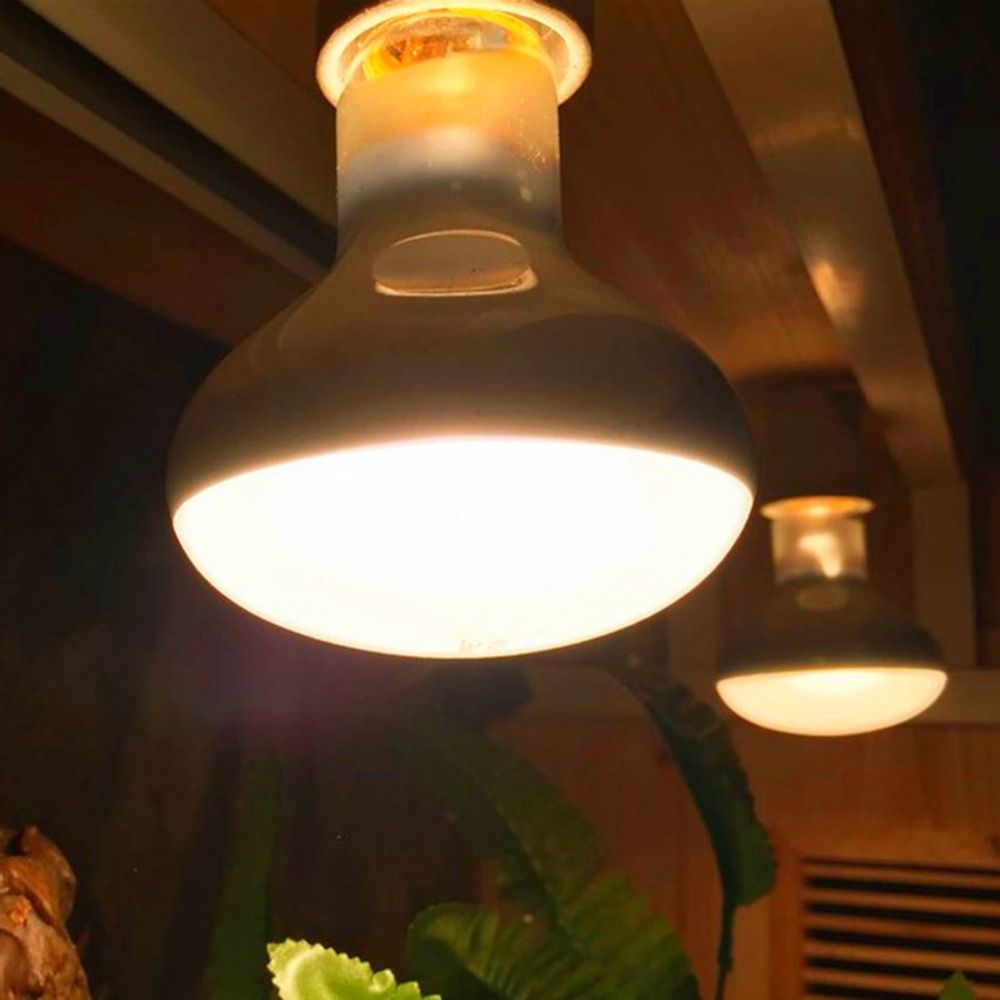Basking Bulb Halogen - Regulator temperatury dla żółwi Lampa grzewcza