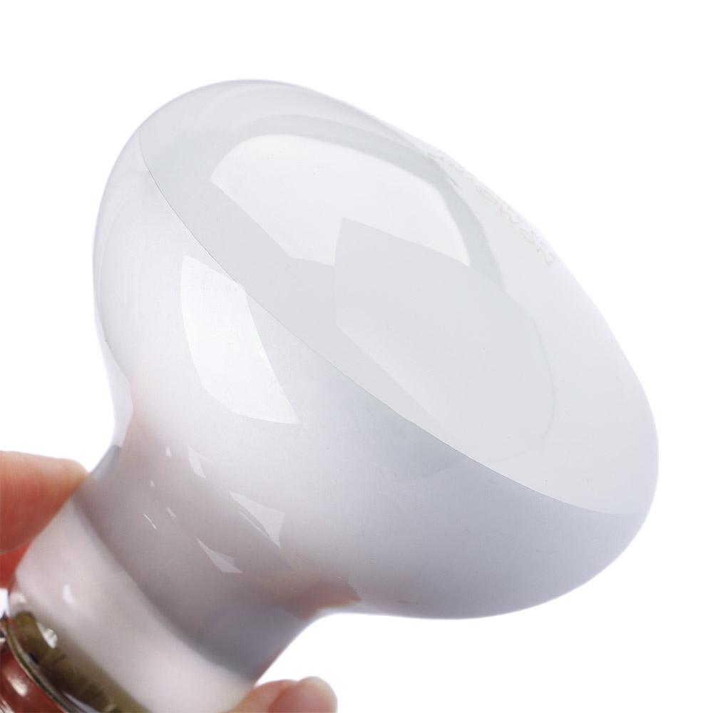 Basking Bulb Halogen - Regulator temperatury dla żółwi, lampa do