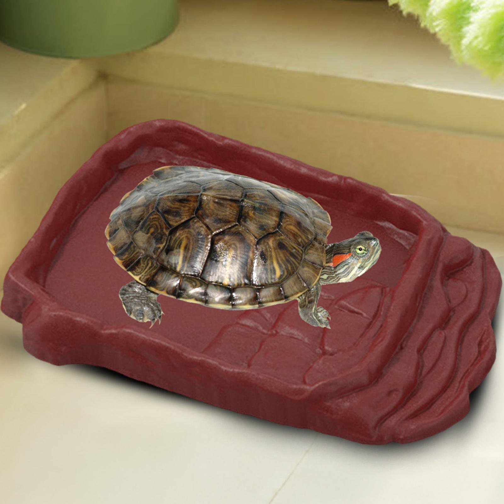 Water Dish Reptile - Wanna dla żółwia, miska na wodę,