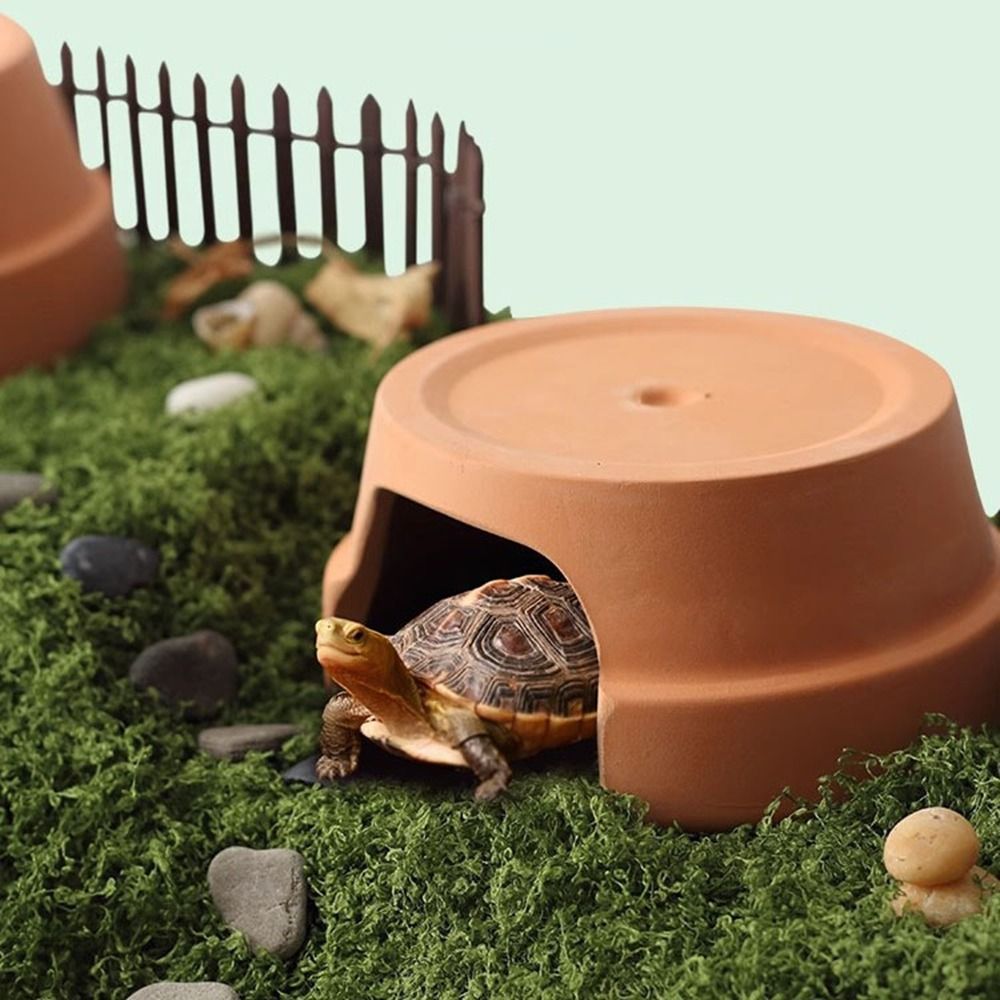 Wielofunkcyjna ceramiczna kryj – Hide Cave Ceramic recenzja i cena
