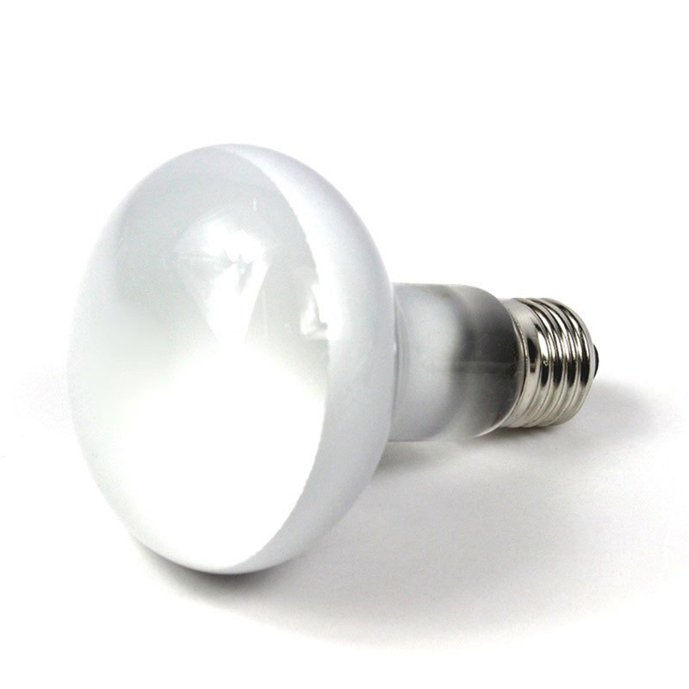 Regulator temperatury do grzej – Basking Bulb Halogen recenzja i cena