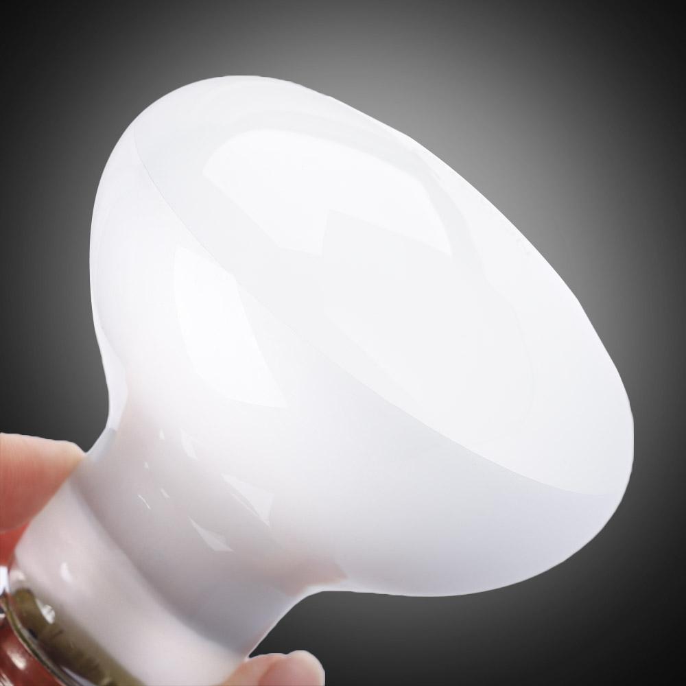 Regulator temperatury do grzej – Basking Bulb Halogen recenzja i cena