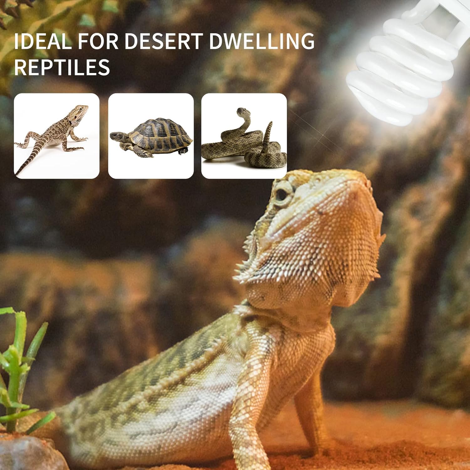 Lampa grzewcza dla gadów UVB 5 – Calcium Powder Reptile recenzja i cena
