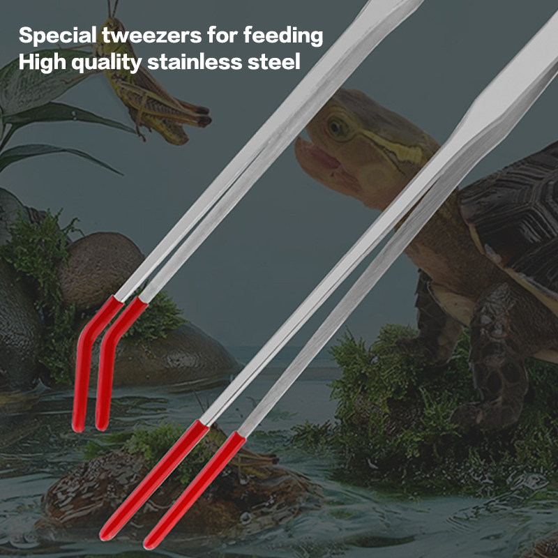 Profesjonalne narzędzia akwari – Feeding Tong Stainless recenzja i cena
