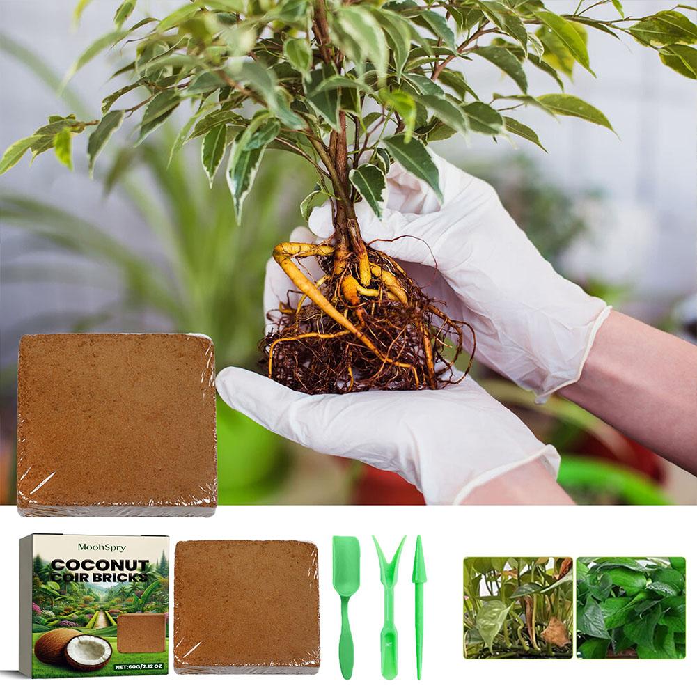 Gady Gleba Kokosowa Coir Włókn – Substrate Coconut Fiber recenzja i cena
