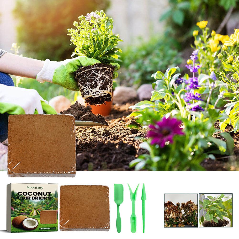 Gady Gleba Kokosowa Coir Włókn – Substrate Coconut Fiber recenzja i cena