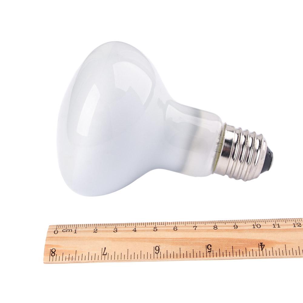Regulator temperatury do grzej – Basking Bulb Halogen recenzja i cena