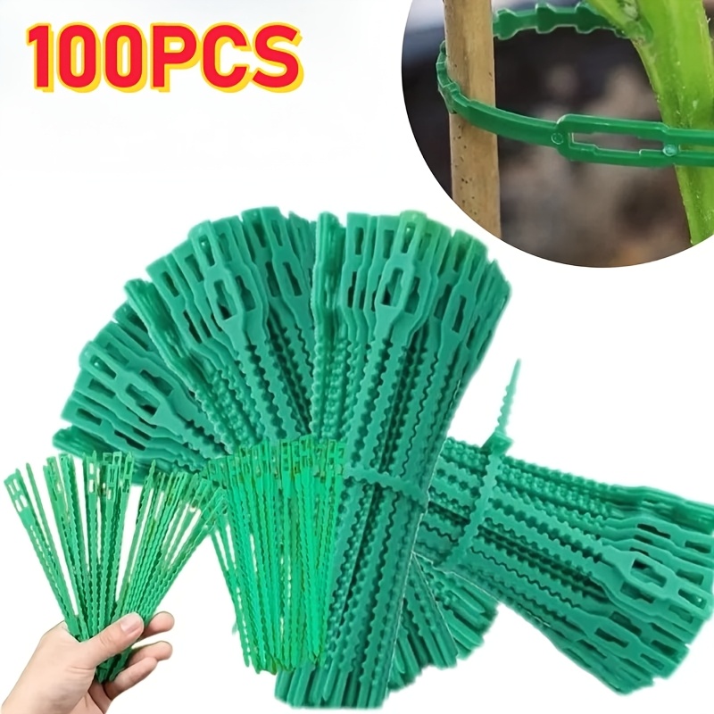 100 SZT. Regulowane, wielokrot – Vine Climbing Plastic recenzja i cena