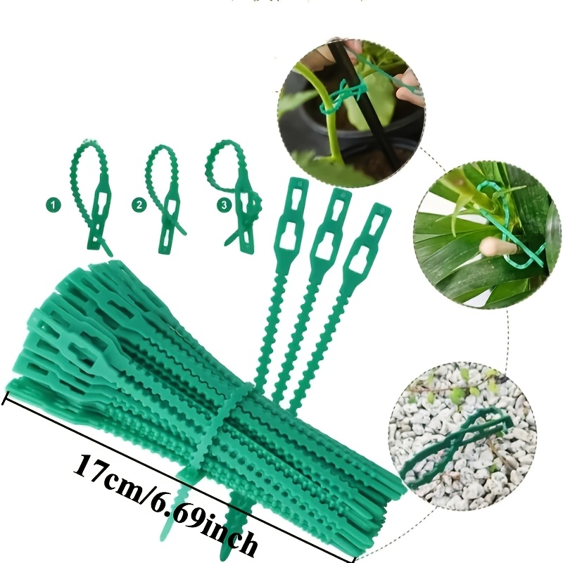 100 SZT. Regulowane, wielokrot – Vine Climbing Plastic recenzja i cena