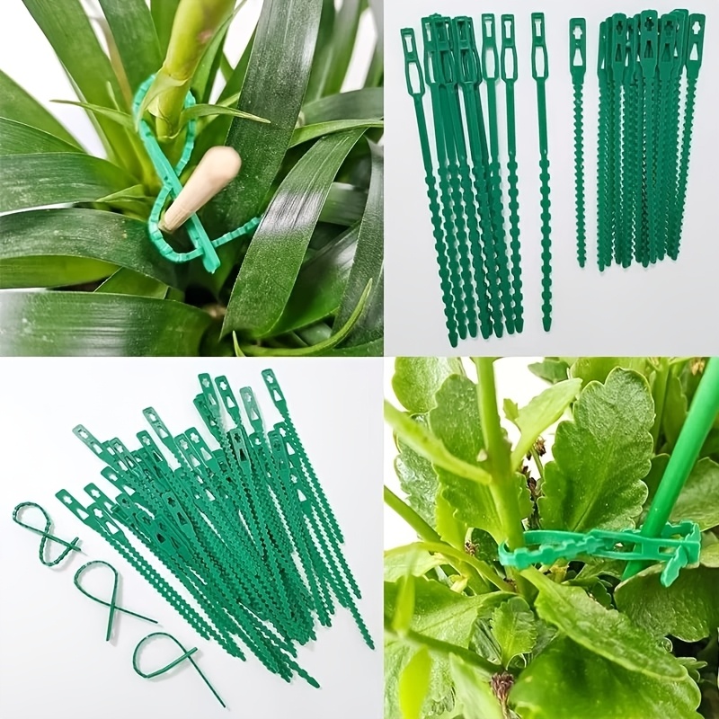 100 SZT. Regulowane, wielokrot – Vine Climbing Plastic recenzja i cena