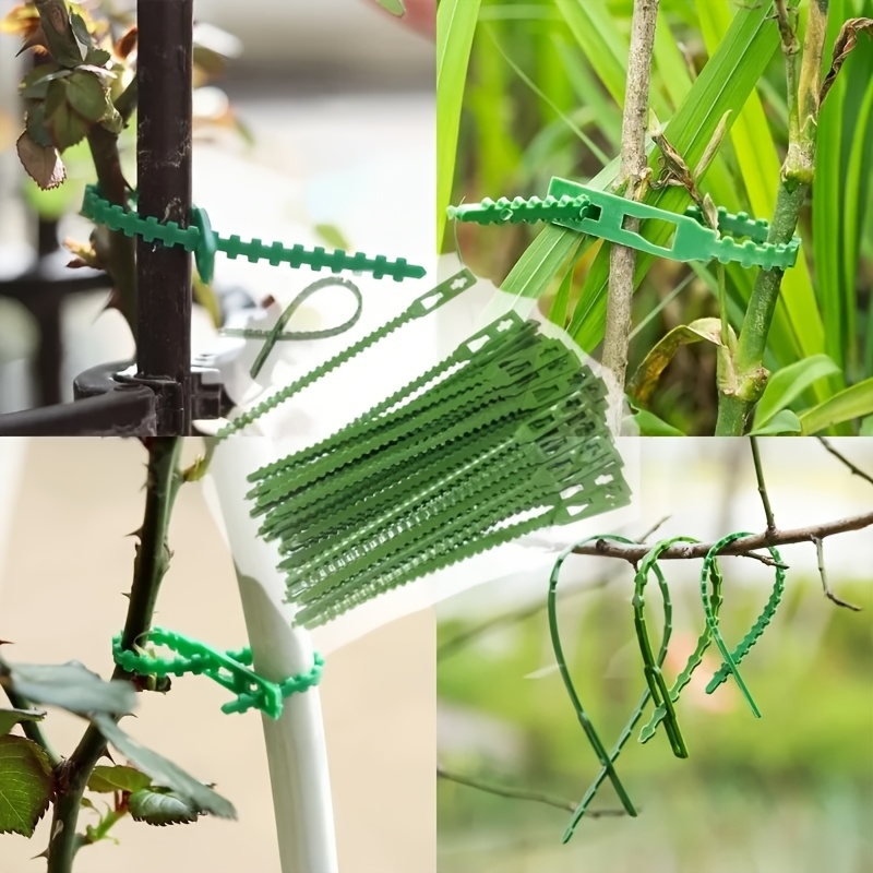 100 SZT. Regulowane, wielokrot – Vine Climbing Plastic recenzja i cena