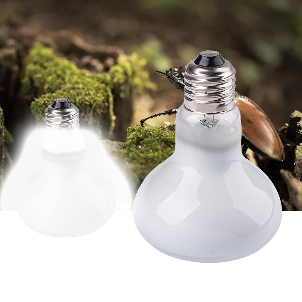 Żarówka halogenowa dla płazów, – Basking Bulb Halogen recenzja i cena