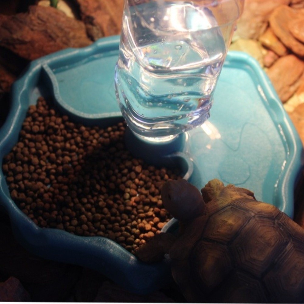 Nowy, wyjmowany podajnik dla g – Water Dish Reptile recenzja i cena
