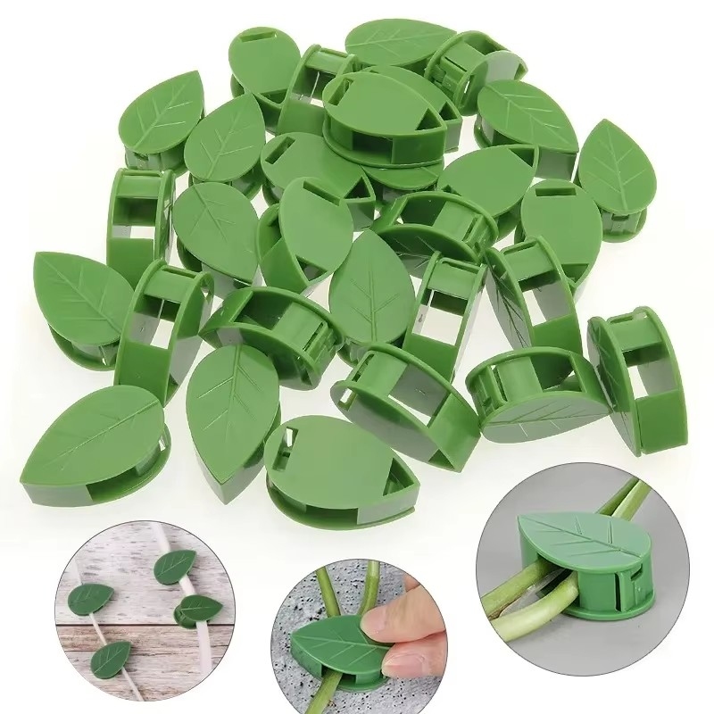 10-90 szt. Klipsy do mocowania – Vine Climbing Plastic recenzja i cena