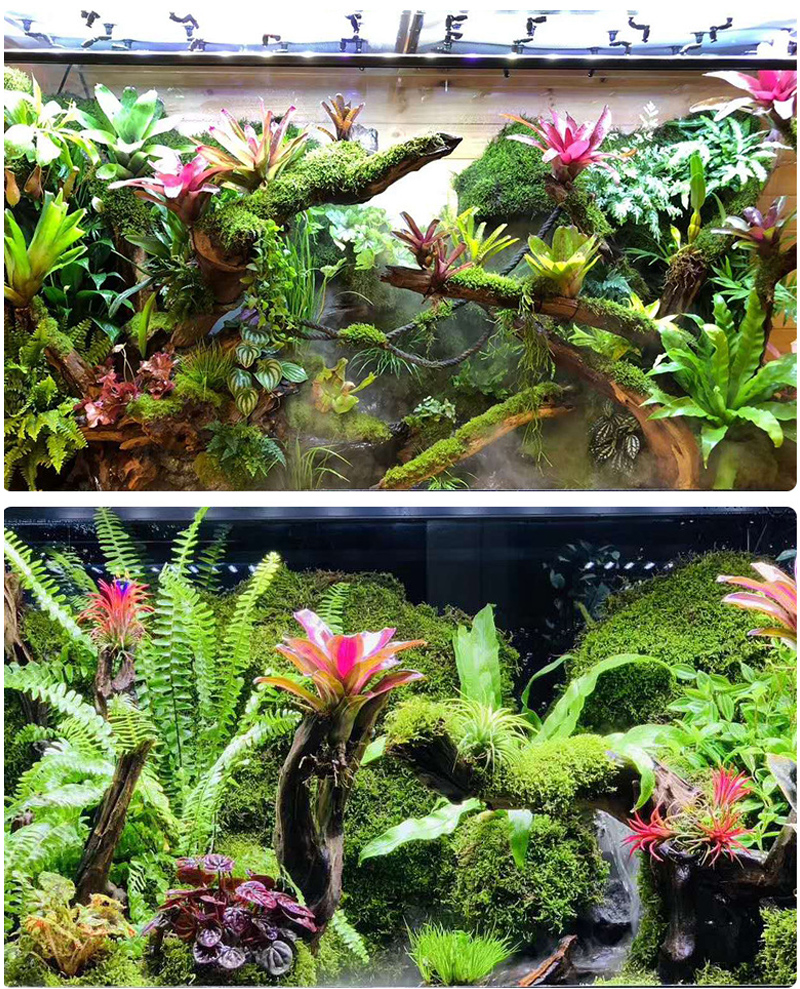 MINI Regulowana Dysza Zamgławi – Misting Nozzle Reptile recenzja i cena