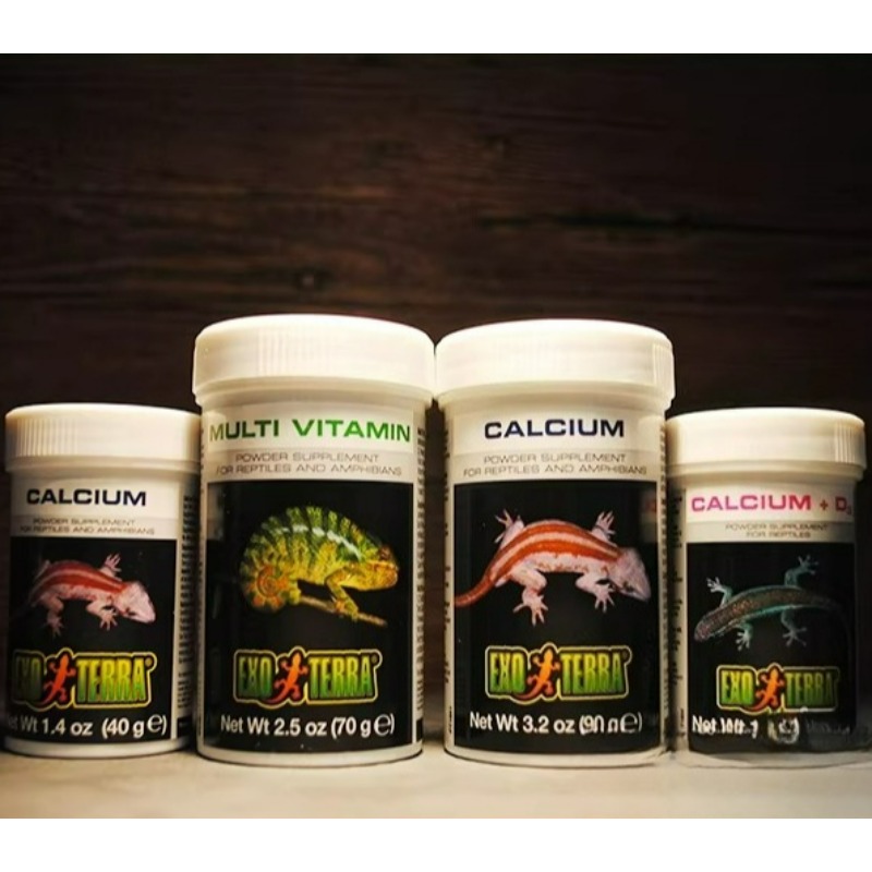 HAGEN Kalcjowy Proszek dla Gad – Calcium Powder Reptile recenzja i cena