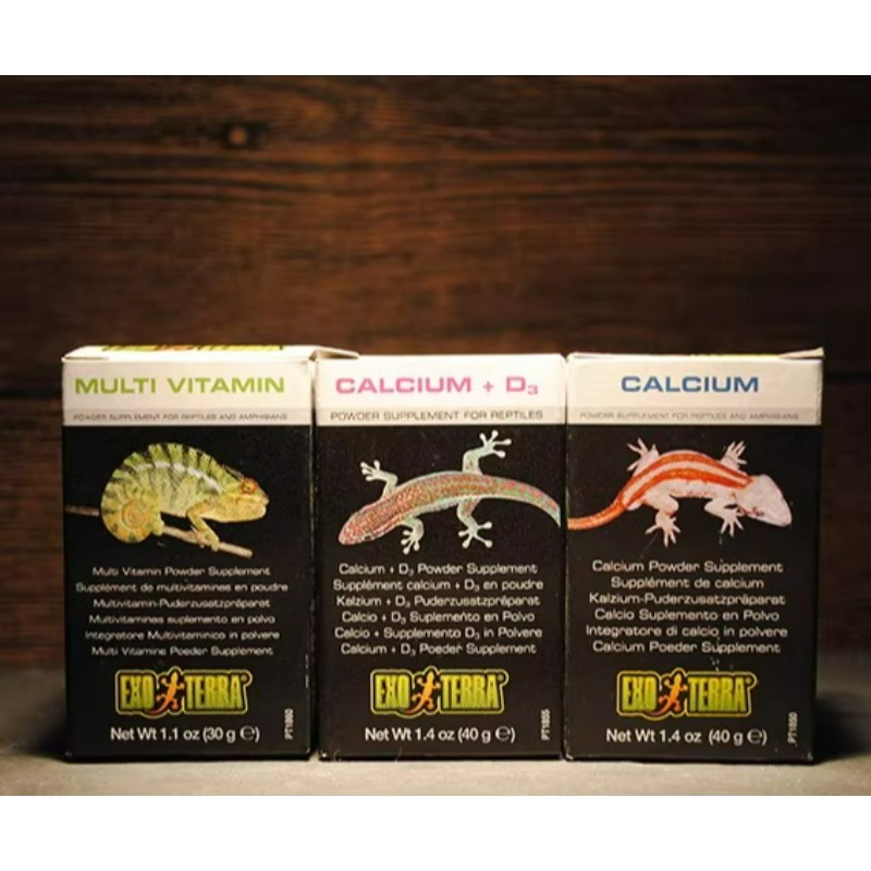 HAGEN Kalcjowy Proszek dla Gad – Calcium Powder Reptile recenzja i cena