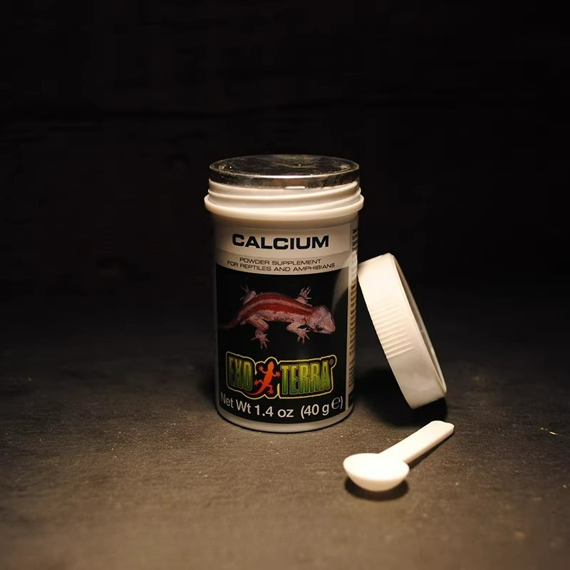 HAGEN Kalcjowy Proszek dla Gad – Calcium Powder Reptile recenzja i cena