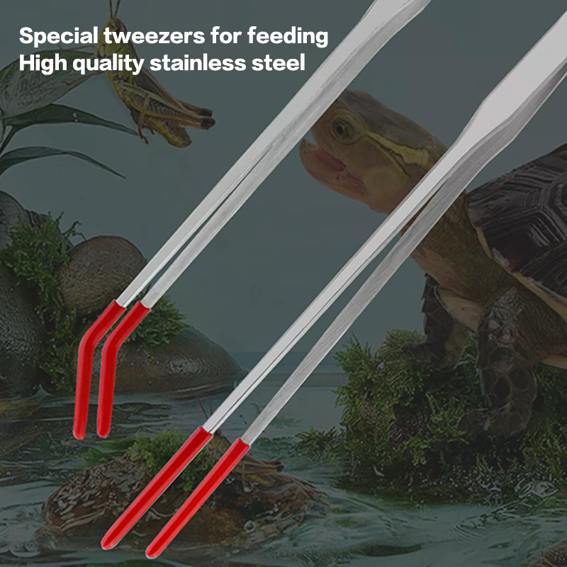 Szczypce do karmienia gadów ze – Feeding Tong Stainless recenzja i cena