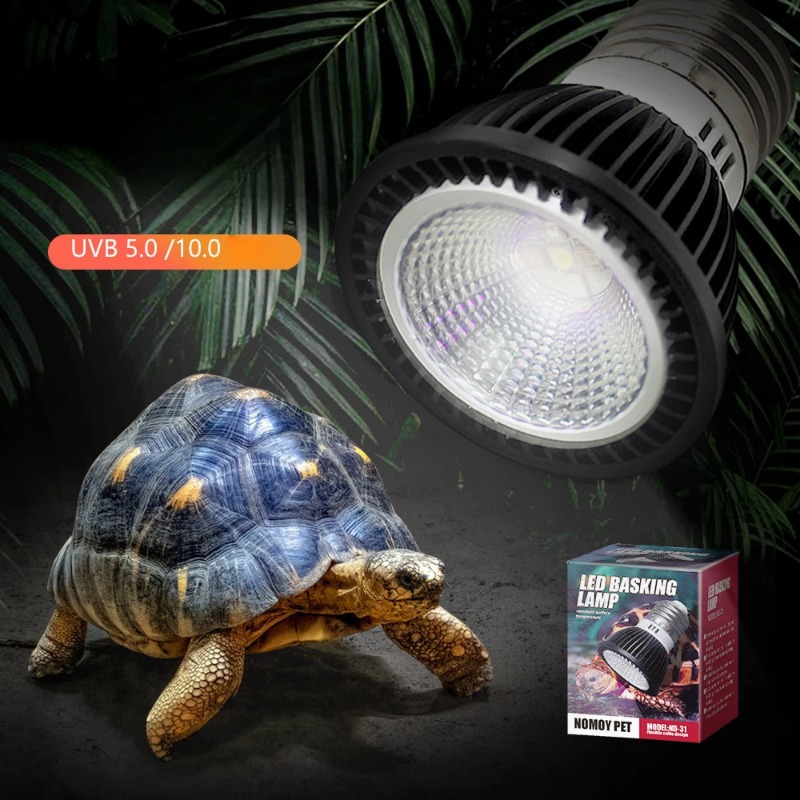 NOMOY Reptile 110/220V UVB+UVA – Calcium Powder Reptile recenzja i cena