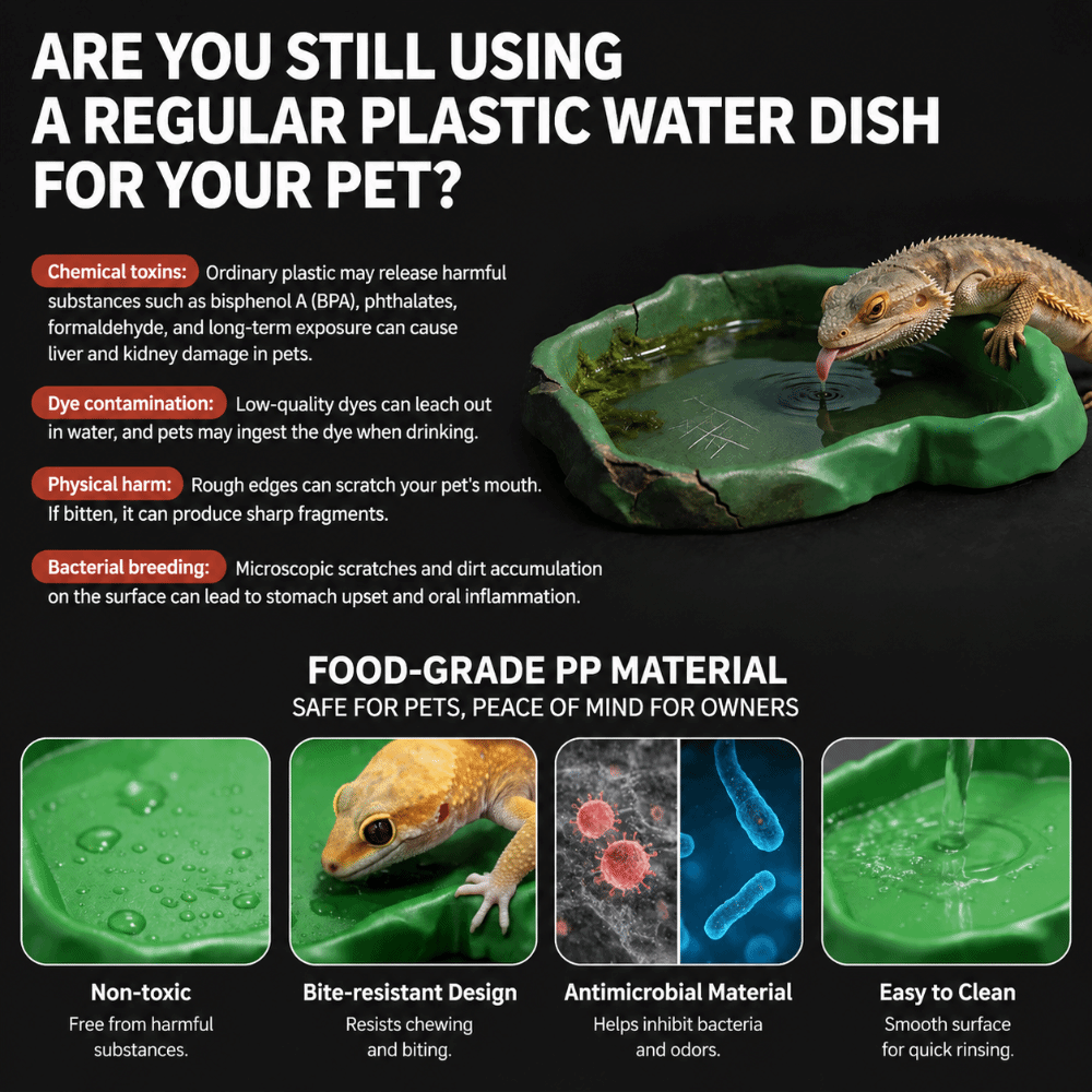 Miseczka dla gadów z żywicy AB – Water Dish Reptile recenzja i cena