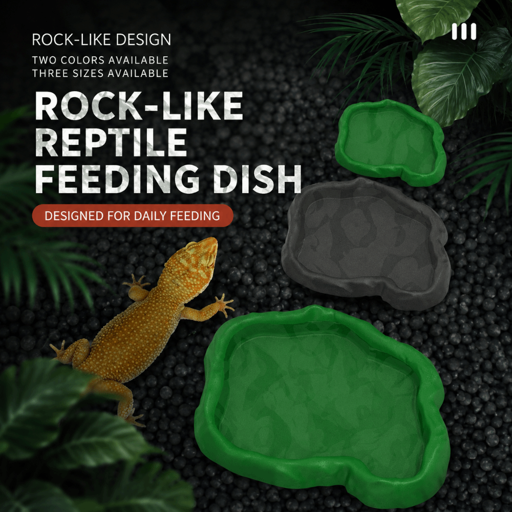 Miseczka dla gadów z żywicy AB – Water Dish Reptile recenzja i cena