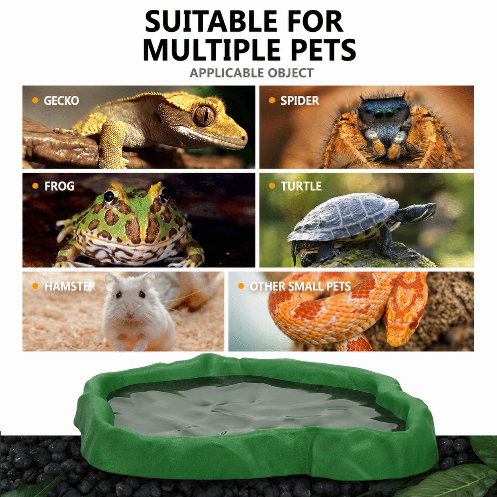 Miseczka dla gadów z żywicy AB – Water Dish Reptile recenzja i cena