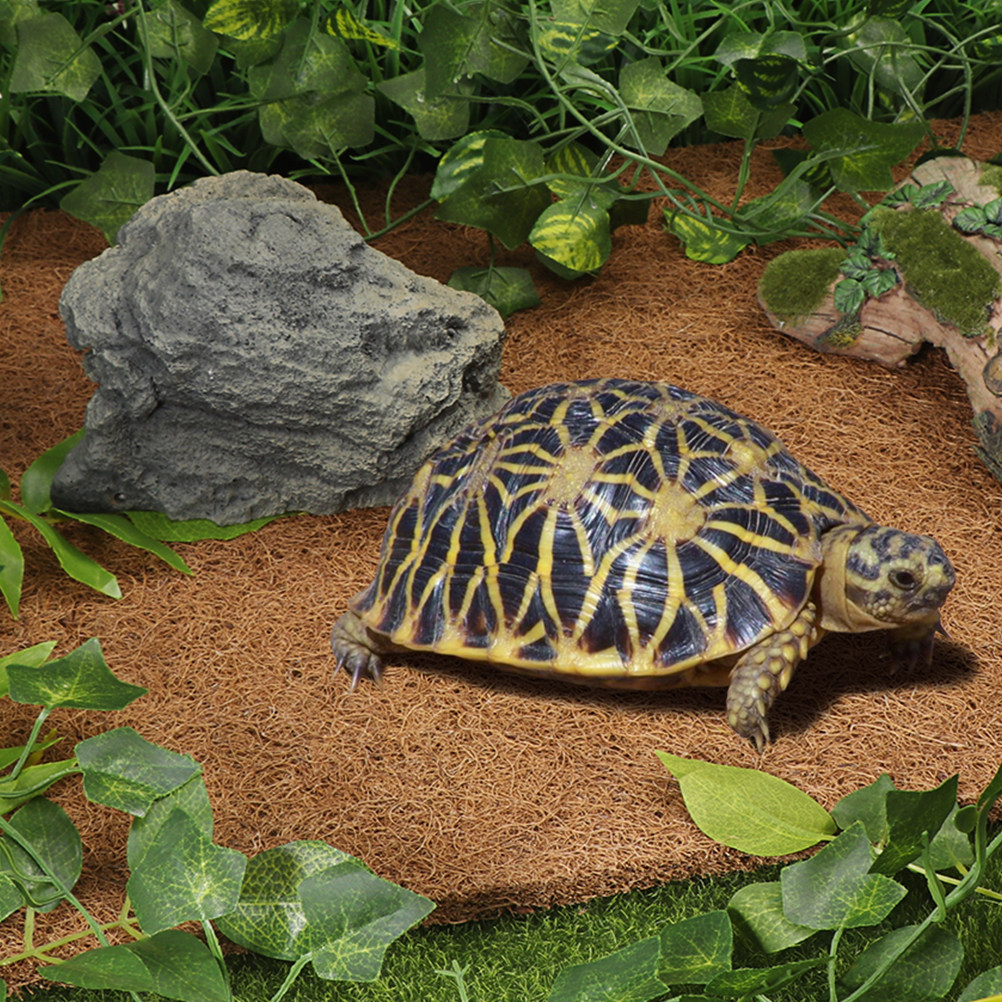 Mata do terrarium z naturalneg – Substrate Coconut Fiber recenzja i cena