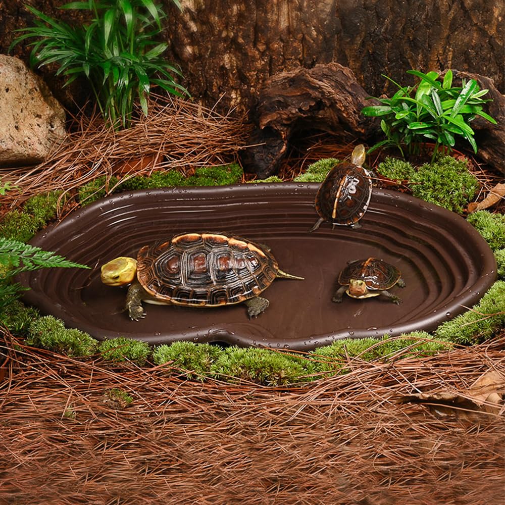 Miska do kąpieli dla gadów, te – Water Dish Reptile recenzja i cena