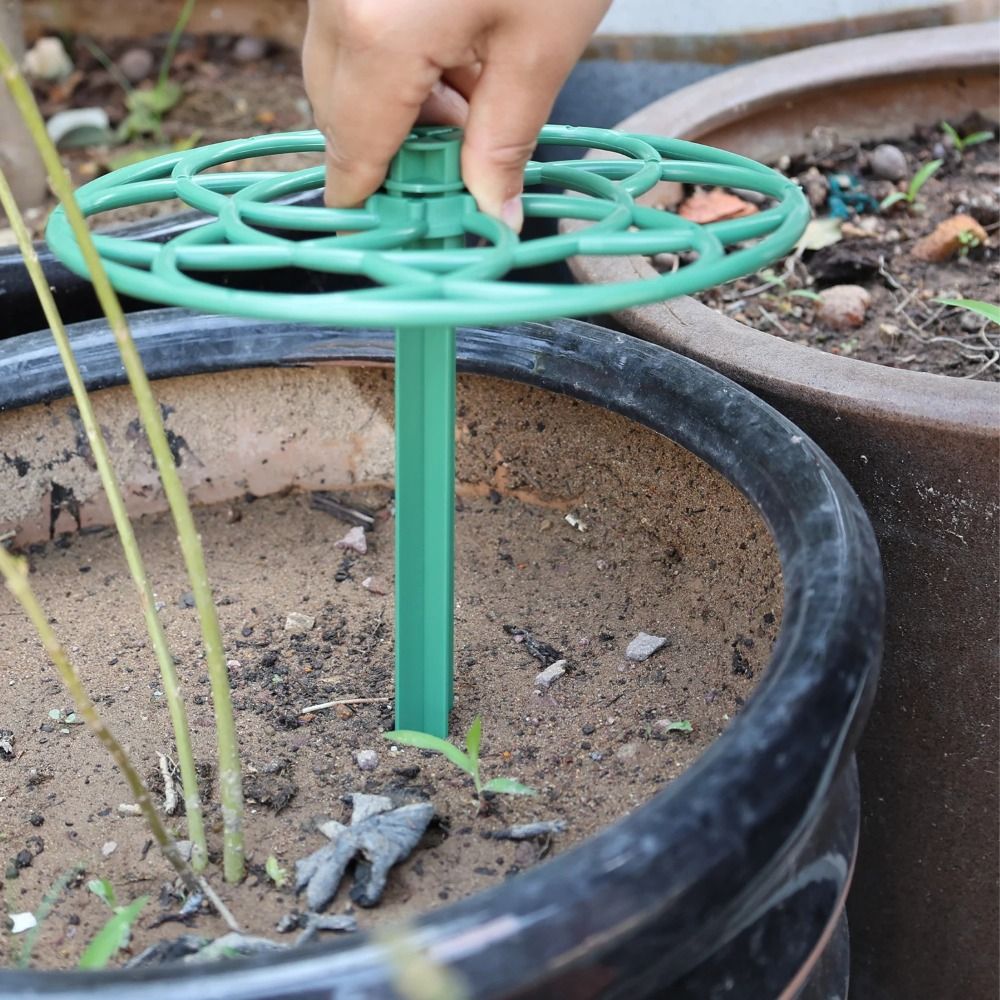 Wytrzymała, składana, plastiko – Vine Climbing Plastic recenzja i cena