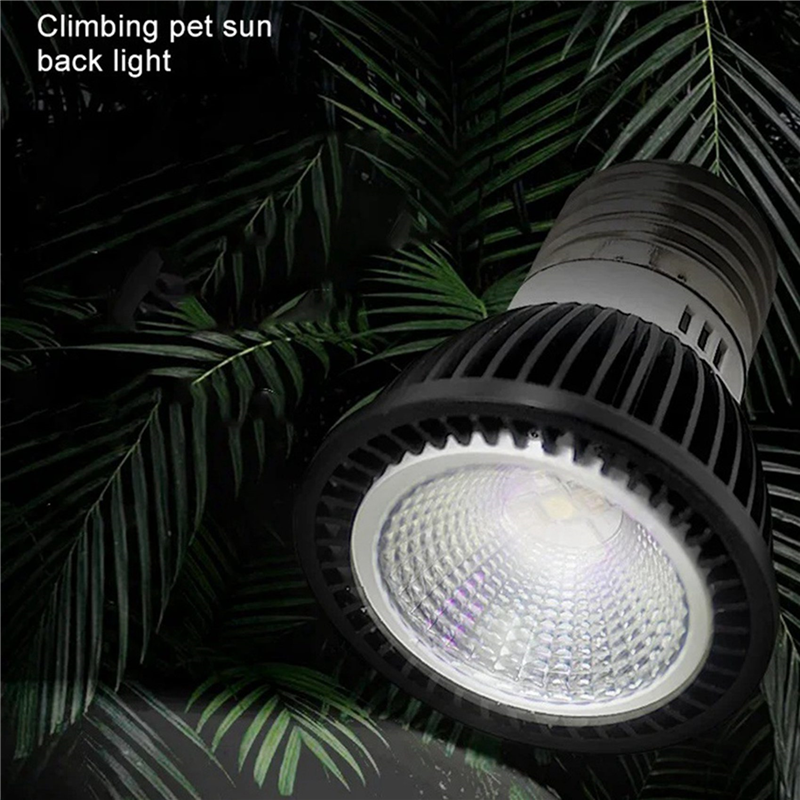 A03F-5X 110V Lampa UVB dla Gad – Calcium Powder Reptile recenzja i cena