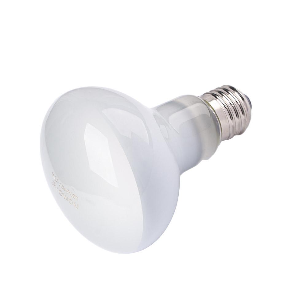 Lampa grzewcza dla żółwi, lamp – Basking Bulb Halogen recenzja i cena