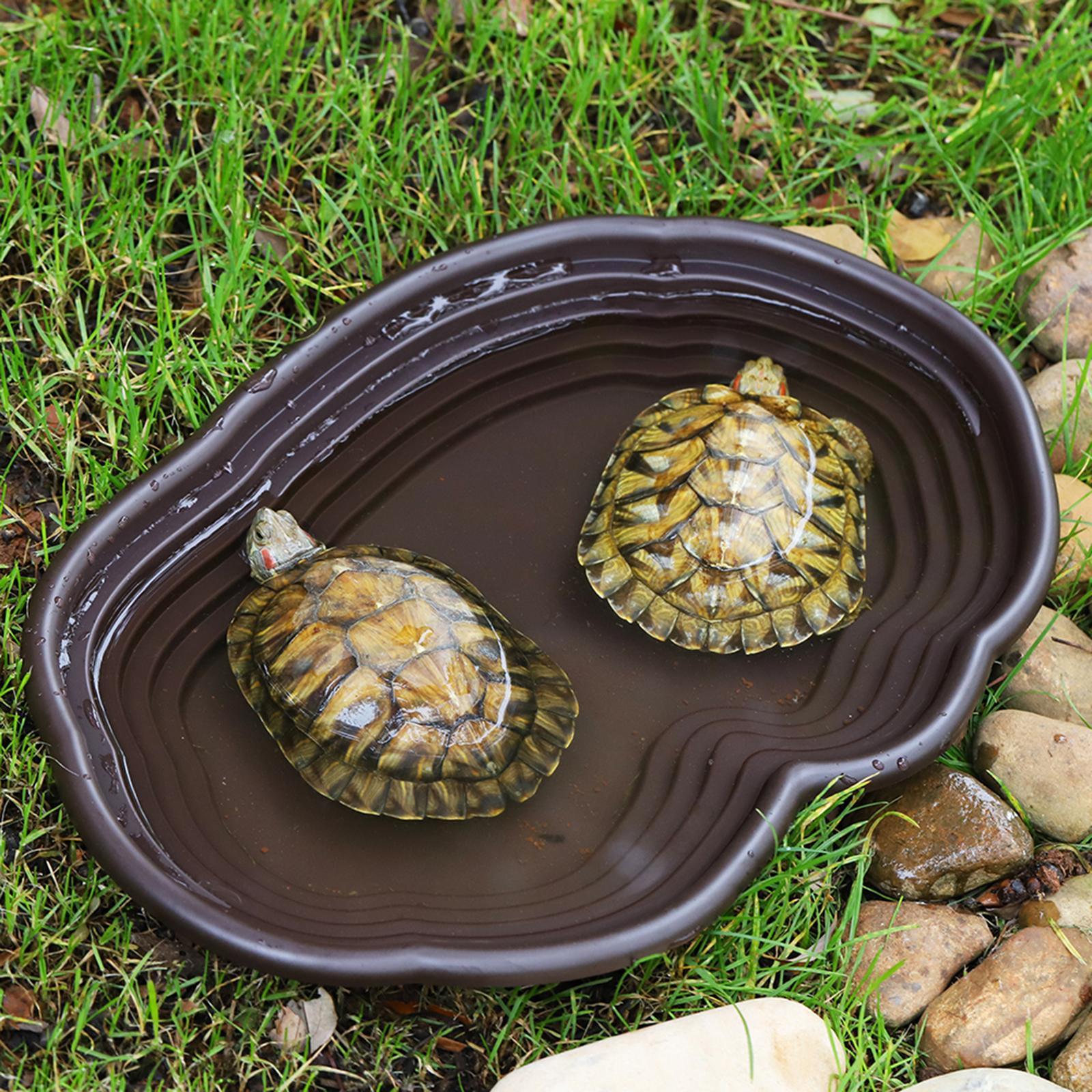 Naczynie do kąpieli gadów Poda – Water Dish Reptile recenzja i cena