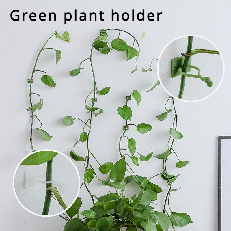 10 szt. Haczyki do mocowania r – Vine Climbing Plastic recenzja i cena