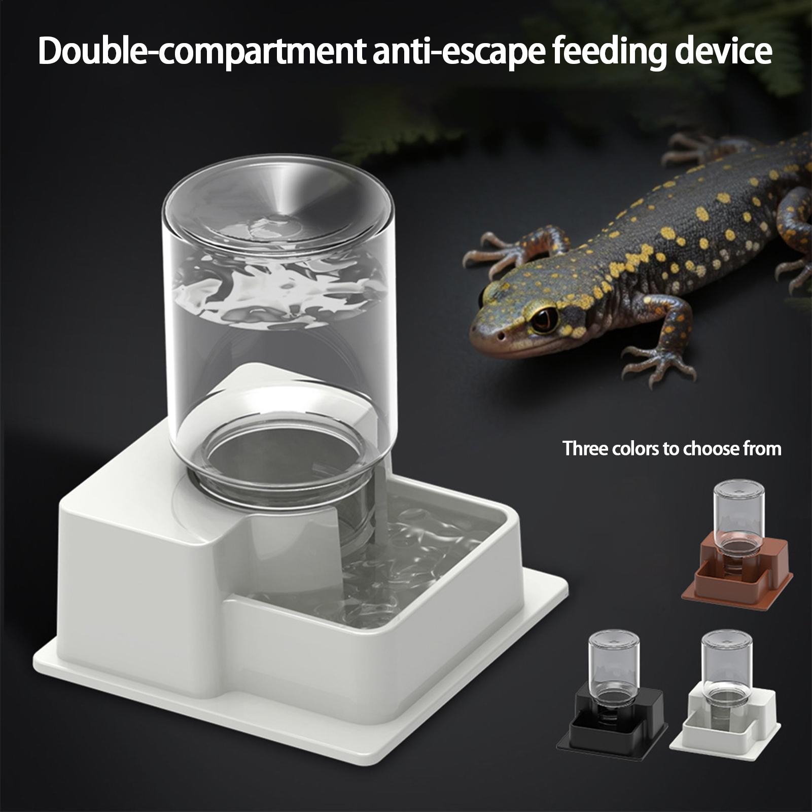 Automatyczna miska na wodę dla – Water Dish Reptile recenzja i cena