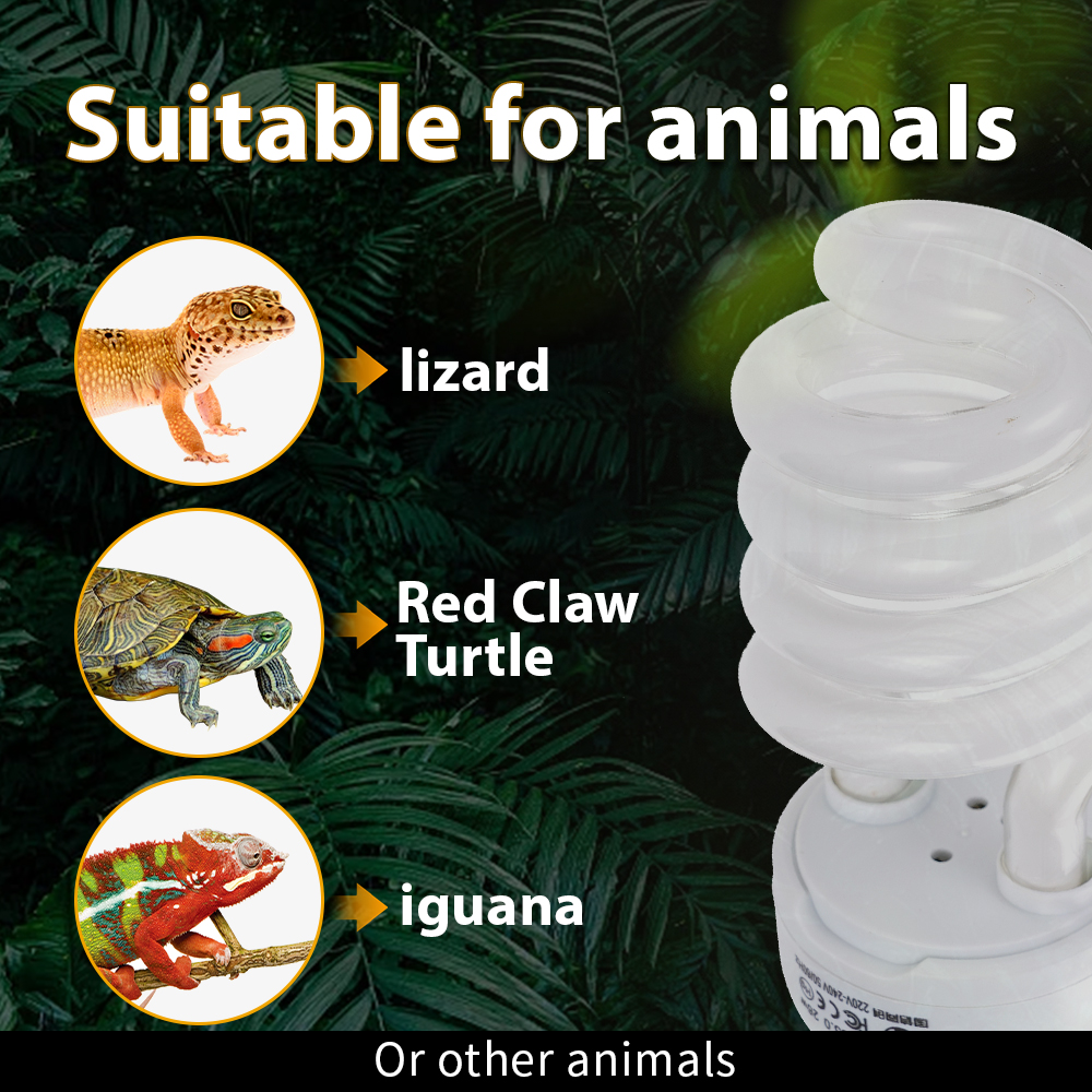 Lampa dla zwierząt 26W, lampa  – Calcium Powder Reptile recenzja i cena