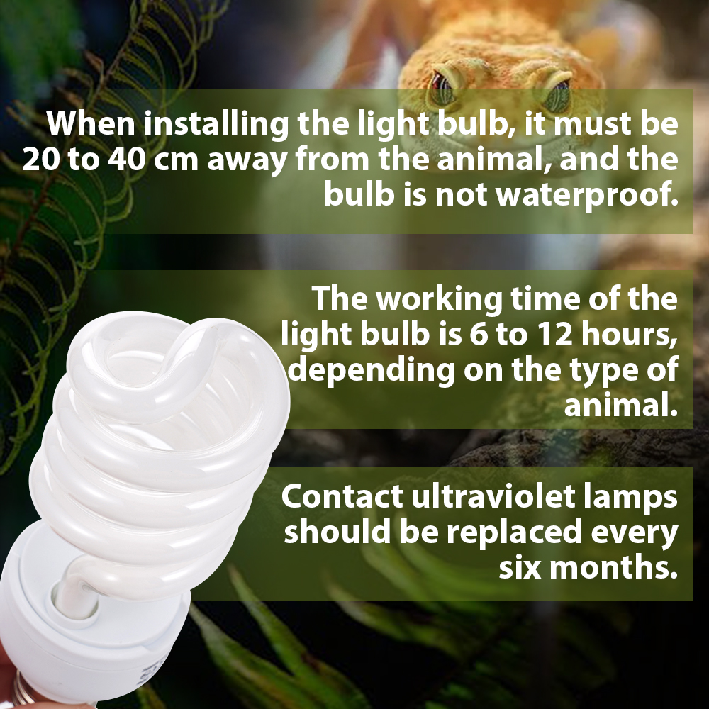 Lampa dla zwierząt 26W, lampa  – Calcium Powder Reptile recenzja i cena