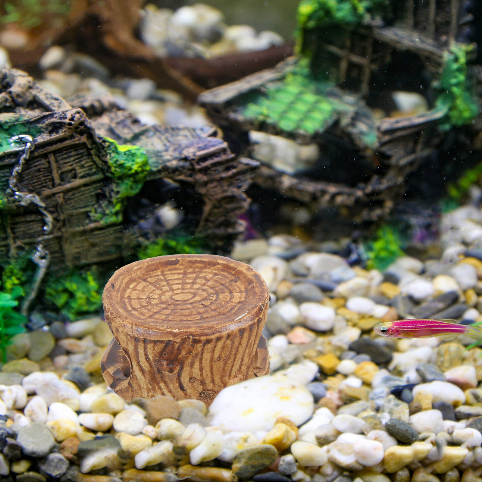 Ceramiczna kryjówka do akwariu – Hide Cave Ceramic recenzja i cena