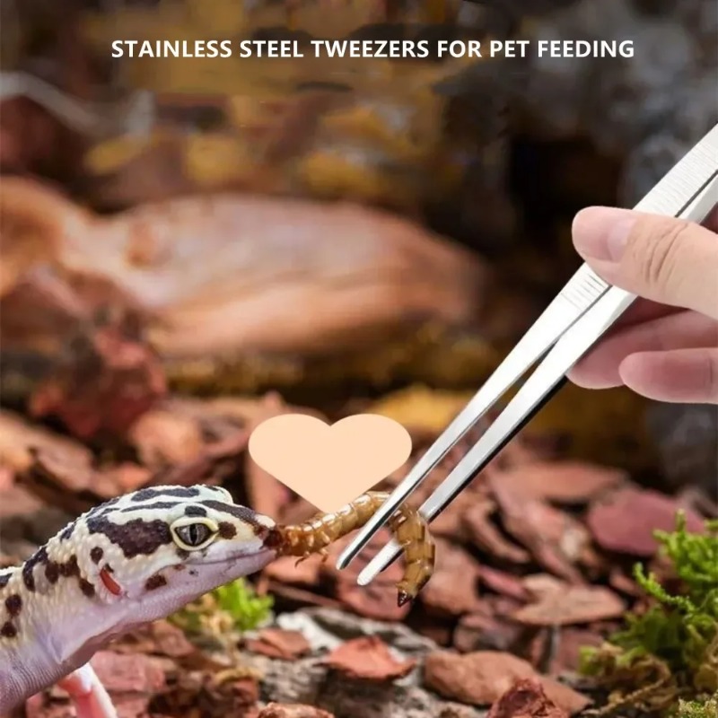 Wielofunkcyjne szczypce ze sta – Feeding Tong Stainless recenzja i cena