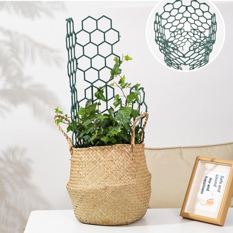 1/5 szt. Nowa plastikowa podpó – Vine Climbing Plastic recenzja i cena