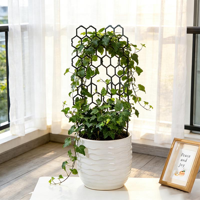 1/5 szt. Nowa plastikowa podpó – Vine Climbing Plastic recenzja i cena