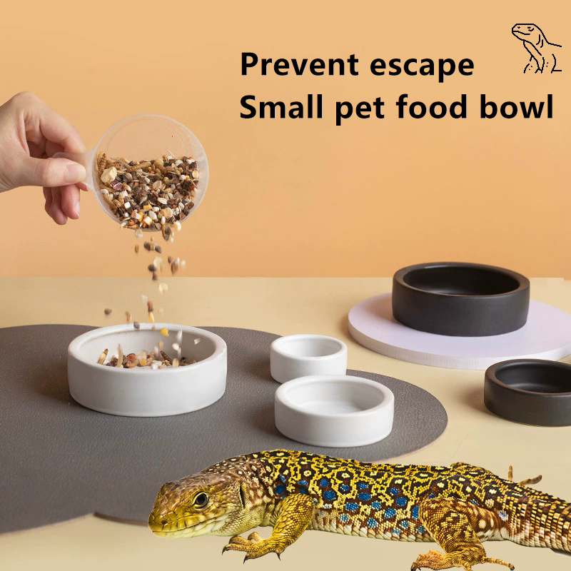 GORĄCO! Ceramiczna miska na ka – Water Dish Reptile recenzja i cena