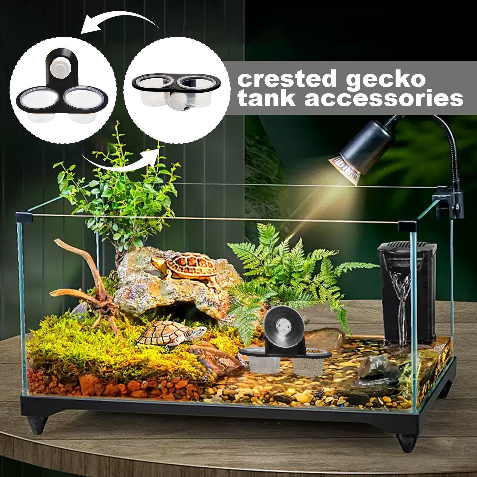 Półka do karmienia gekonów z o – Water Dish Reptile recenzja i cena