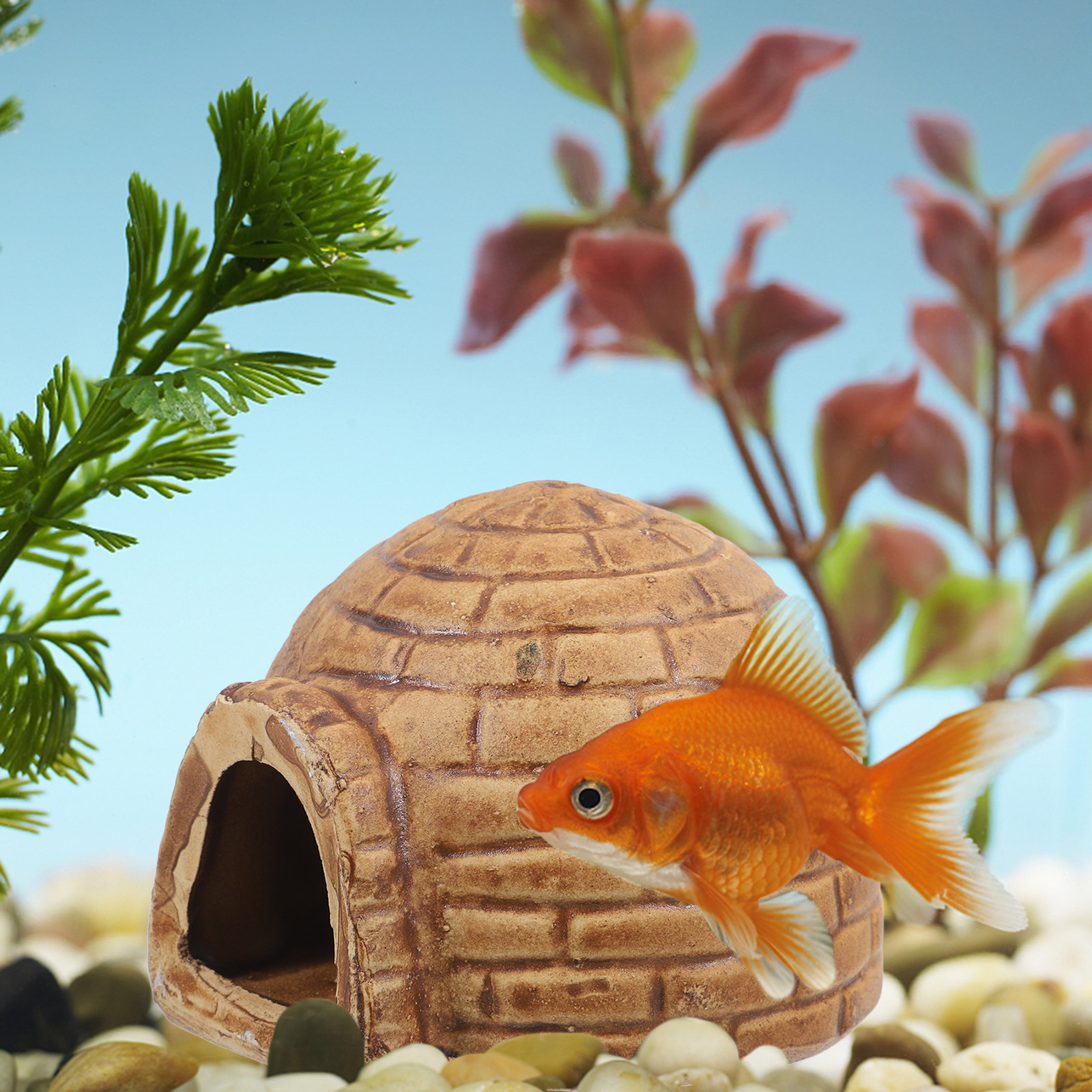 Ceramiczne jaskienki dla pleco – Hide Cave Ceramic recenzja i cena