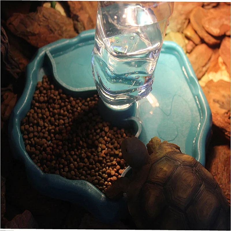 Automatyczny podajnik karmy i  – Water Dish Reptile recenzja i cena