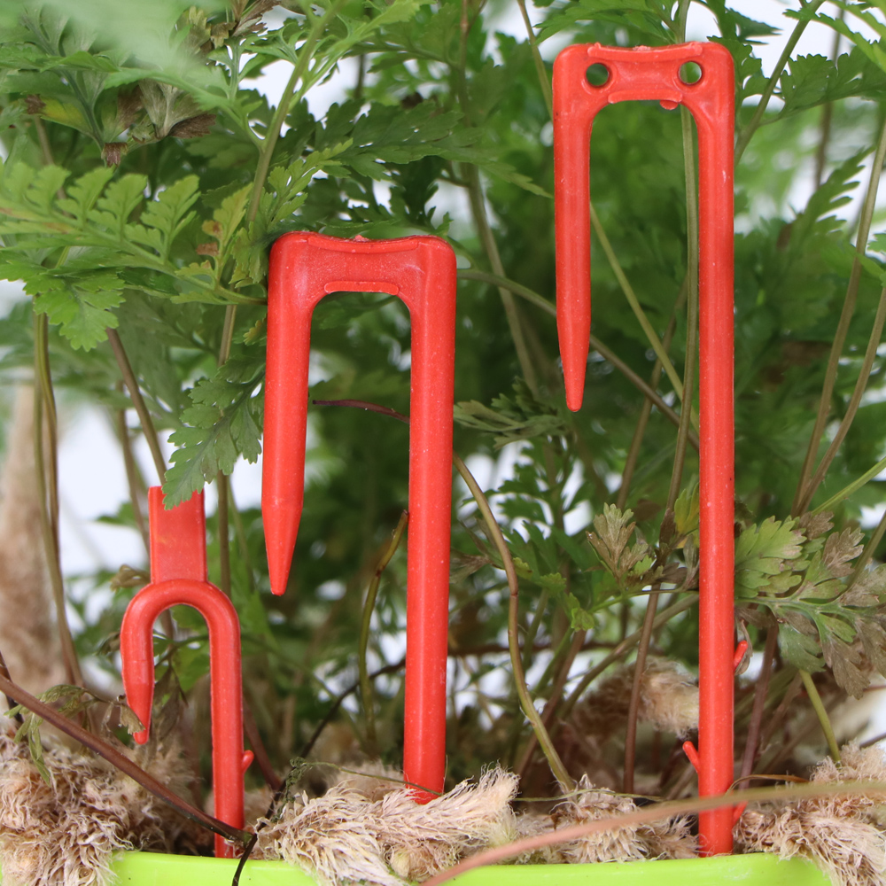 20-50 sztuk widelec do sadzeni – Vine Climbing Plastic recenzja i cena