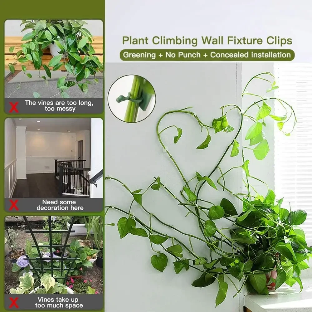 1/30/50 sztuk na akcesoria ogr – Vine Climbing Plastic recenzja i cena