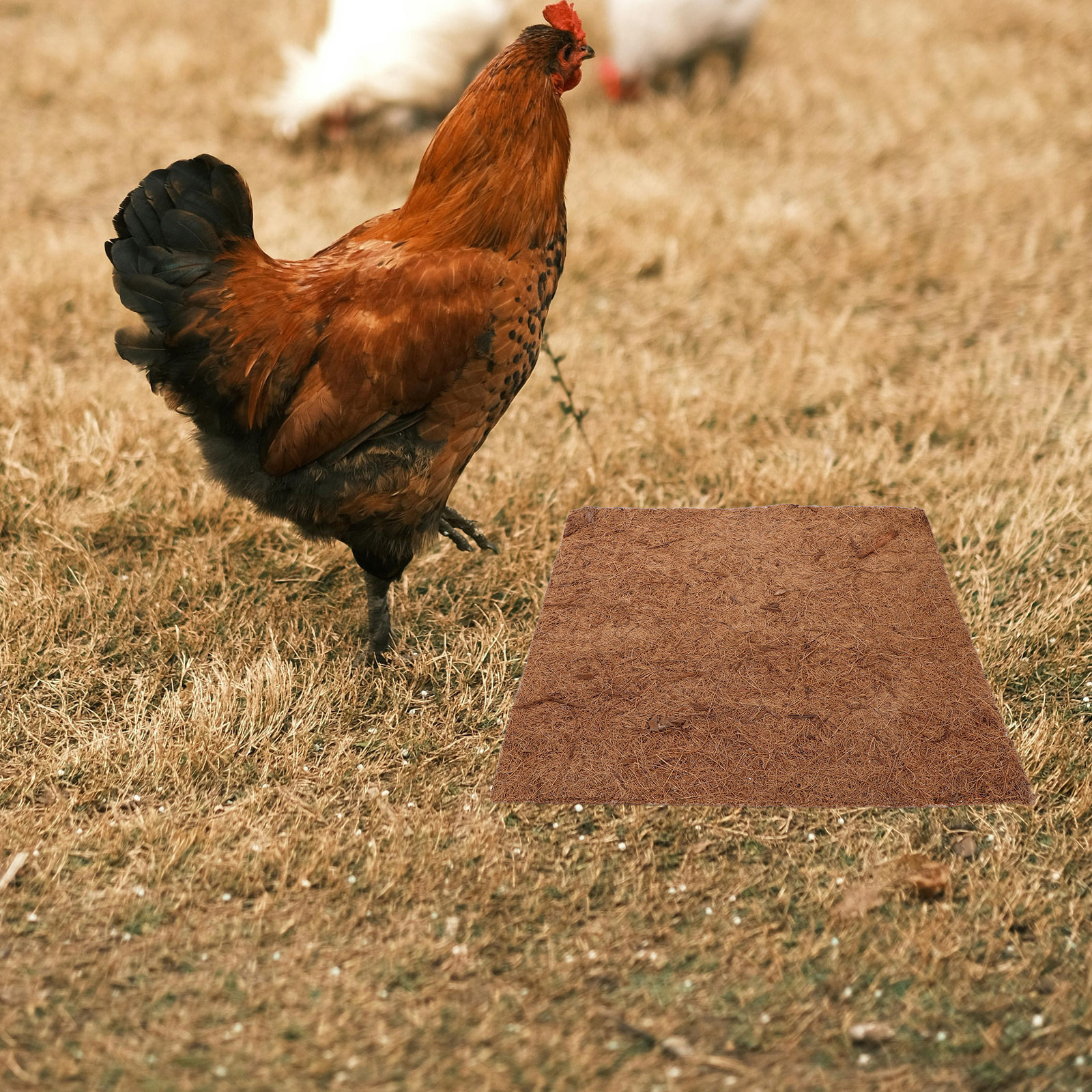 4 szt. Naturalna mata z włókna – Substrate Coconut Fiber recenzja i cena