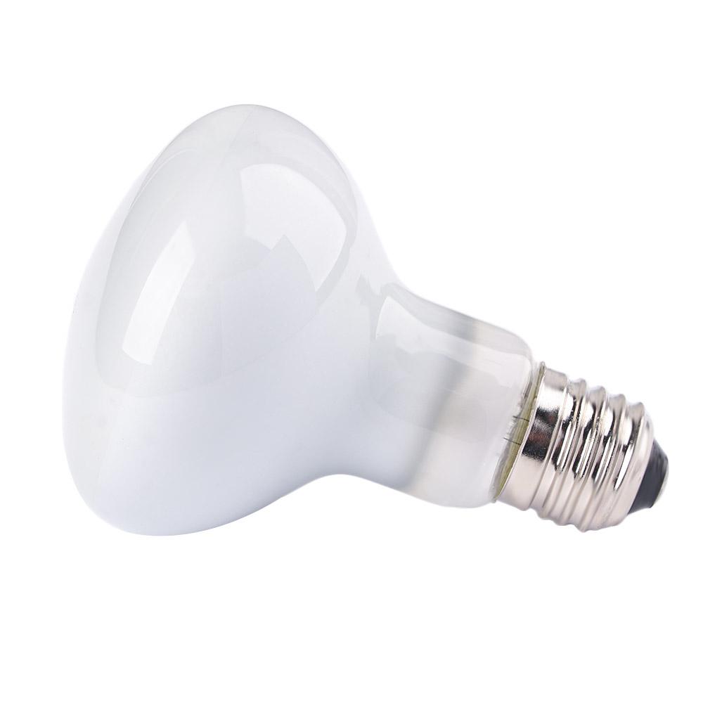 Regulator temperatury dla żółw – Basking Bulb Halogen recenzja i cena