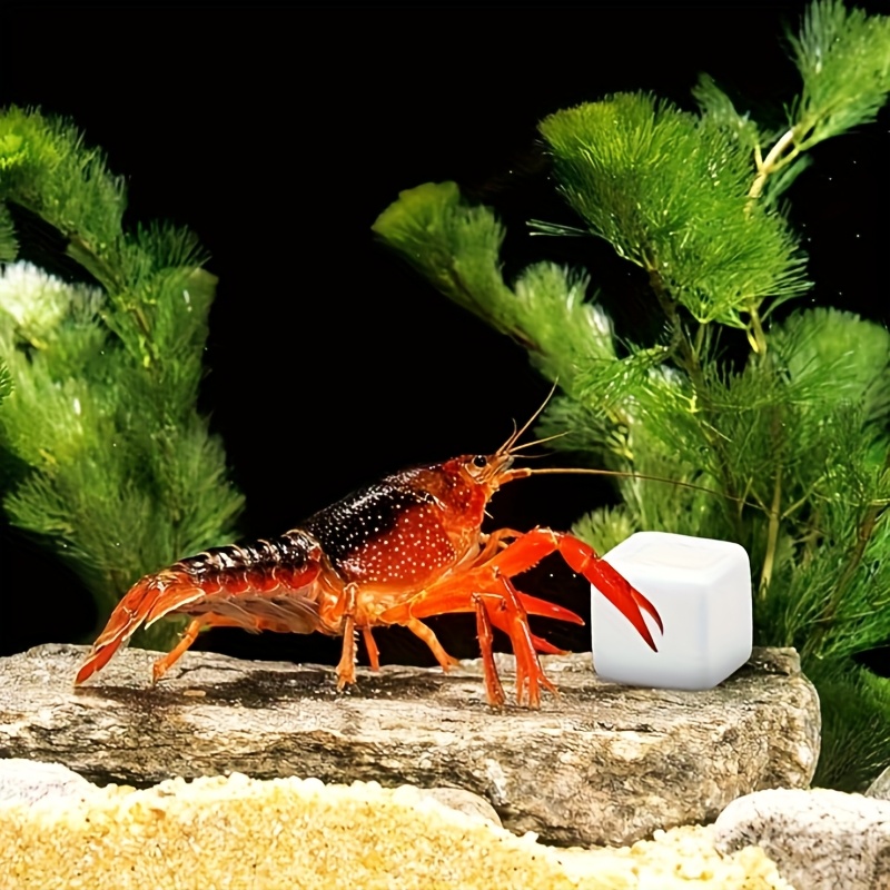 6 szt. Bloków wapnia do akwari – Calcium Powder Reptile recenzja i cena